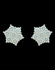 Star Floral Diamond Tops Earrings