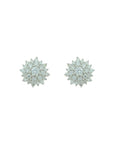 Floral  Diamond Top Earrings